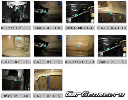   Van (B9) 20082019
