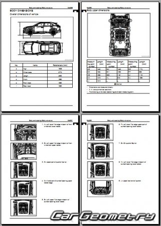   Hozon Neta U Pro  2021 Body Repair Manual