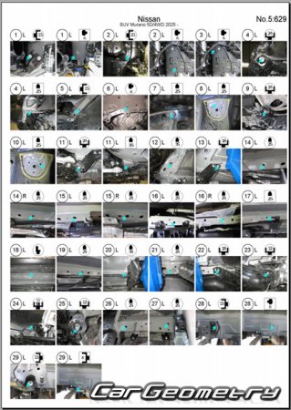   Nissan Murano (Z53)  2025 Body Repair Manual