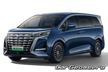   BYD Denza D9 EV 2024-2030,     9